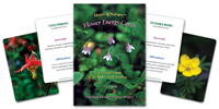Alaskan Flower Energy Cards
